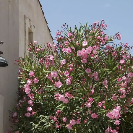 Sant'agostino Siracusa 公寓 锡拉库扎